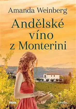 Andělské víno z Monterini Cenová Bomba