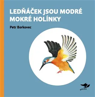 Lednáček jsou modré mokré holínky Nízká Cena