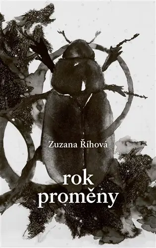 Rychlé Dodání Rok Proměny