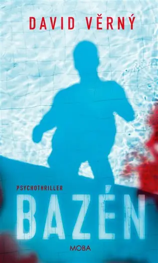 Levný Bazén