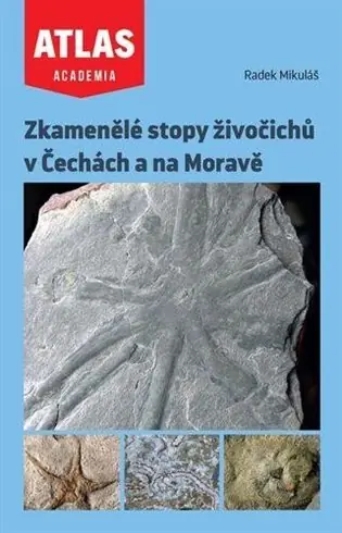 Zkamenělé stopy živočichů v Čechách a na Moravě Originální