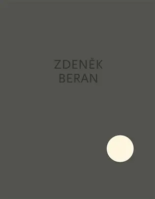 Elevace / Elevation - Zdeněk Beran: Rehabilitační oddělení Dr. Dr. Bezpečná Platba