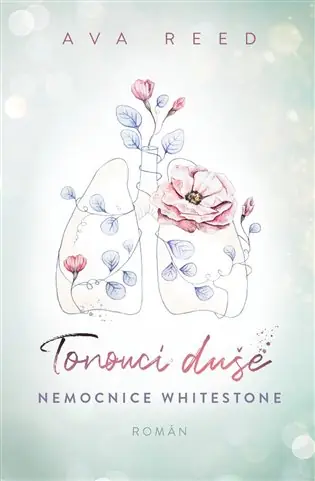 Přímo Od Výrobce Nemocnice Whitestone: Tonoucí duše