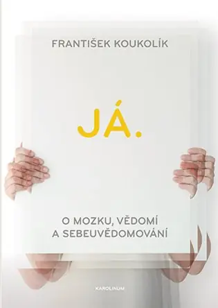 Nízká Cena Já. O mozku, vědomí a sebeuvědomování