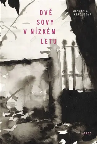 Dvě sovy v nízkém letu Zlevněný