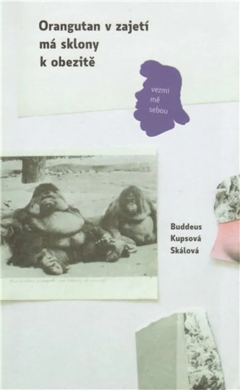 Orangutan v zajetí má sklon k obezitě Top Prodej