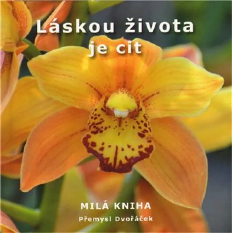 Výhodná Nabídka Láskou života je cit