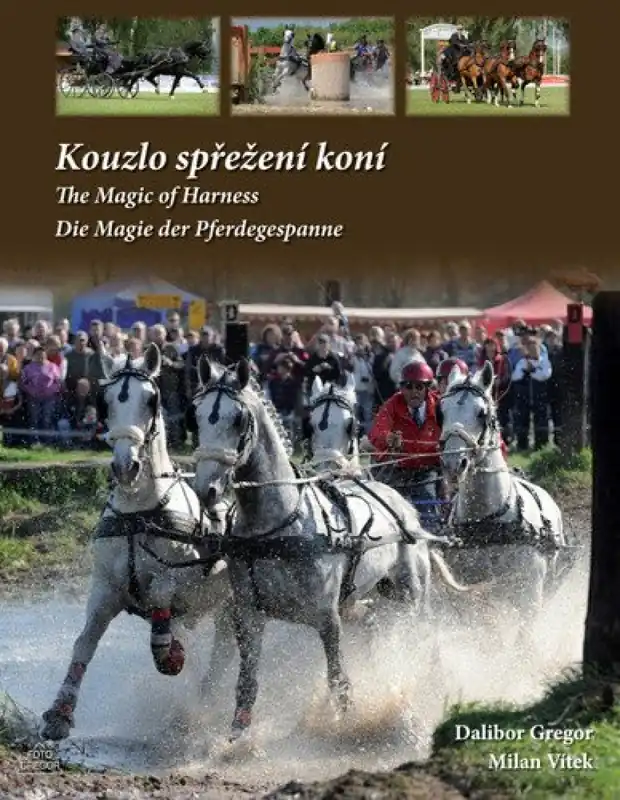 Kouzlo spřežení koní / The Magic od Harness / Die Magie der Pferdegespanne Rychlé Dodání
