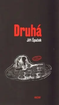 Přímo Od Výrobce Druhá