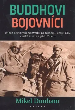 Vysoce Kvalitní Buddhovi bojovníci