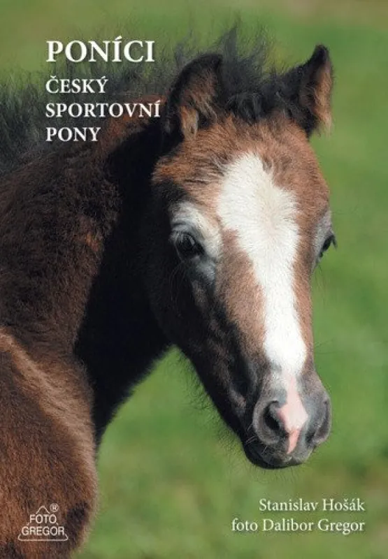 Sleva Poníci - český sportovní pony