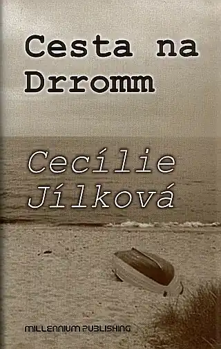 Cesta na Drromm Expresní Doručení