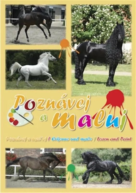 Novinka Poznávej a maluj