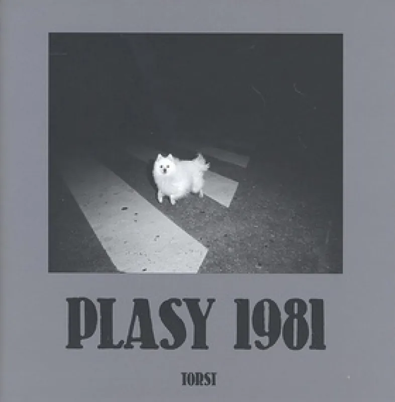 Nejlepší Volba Plasy 1981