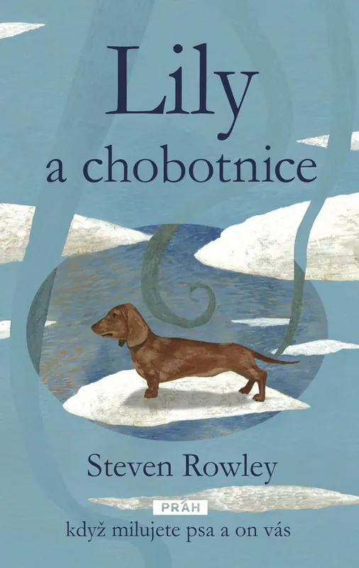 Lily a chobotnice Top Prodej