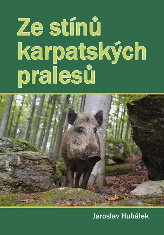 Ze stínů karpatských pralesů Ověřený