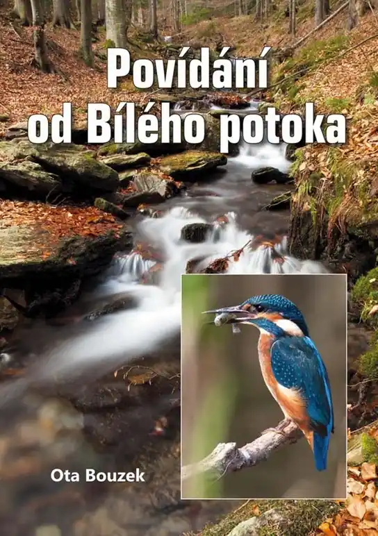 Povídání od Bílého potoka Zlevněný