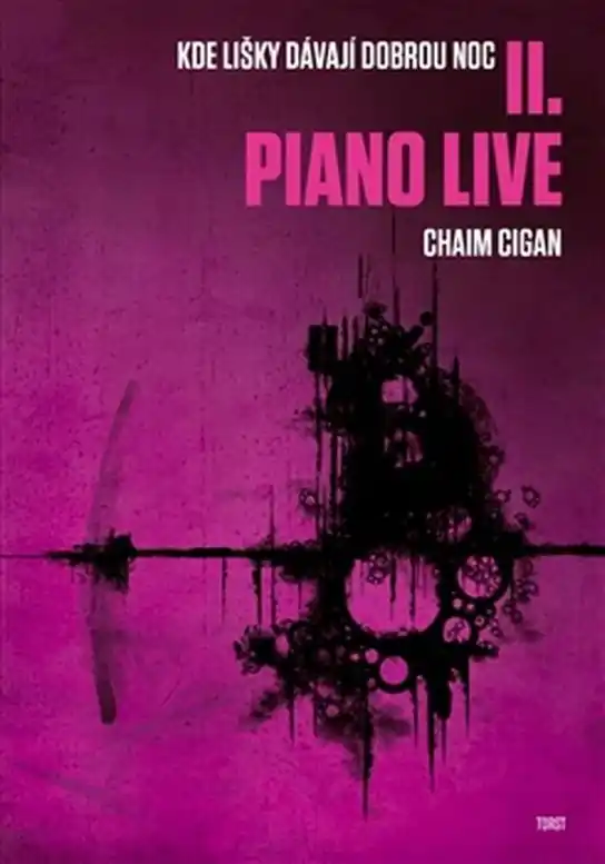 Jen Po Omezenou Doba Piano live
