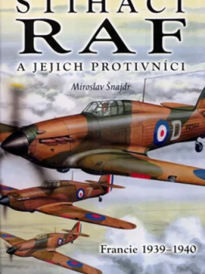 Poslední Šance Stíhači RAF a jejich protivníci - Francie 1939-1940
