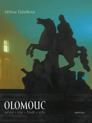 Top Prodej Olomouc
