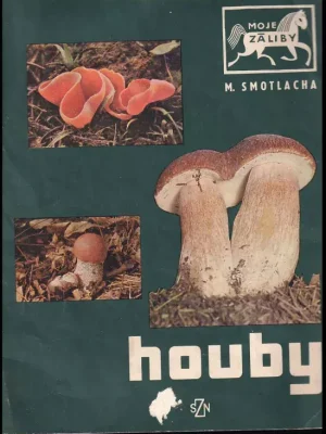 Houby Hit Sezóny