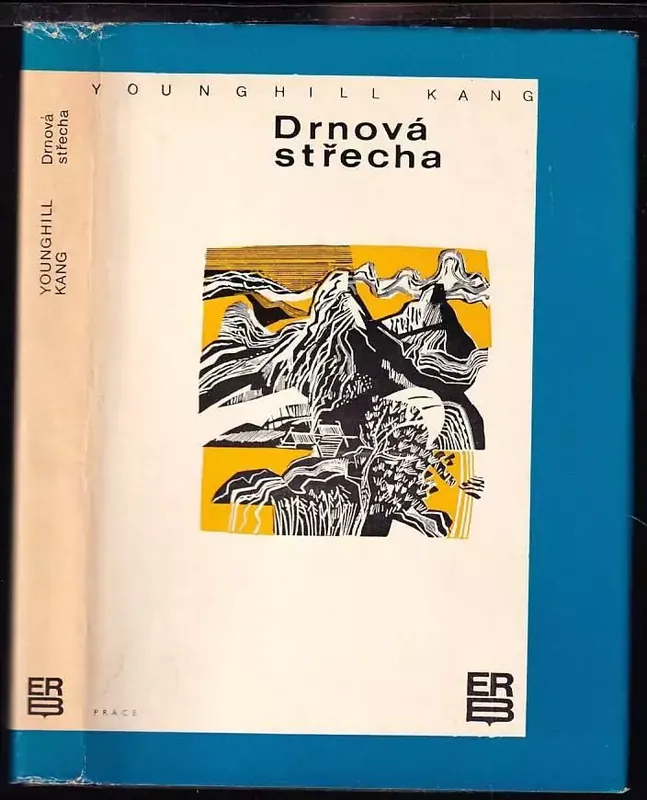 Drnová střecha Poslední Šance
