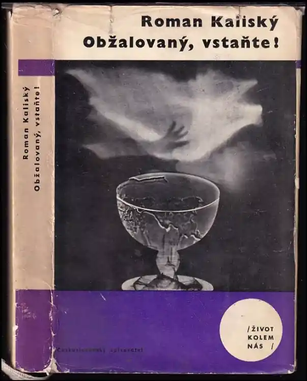Vrácení Zdarma Obžalovaný, vstaňte!
