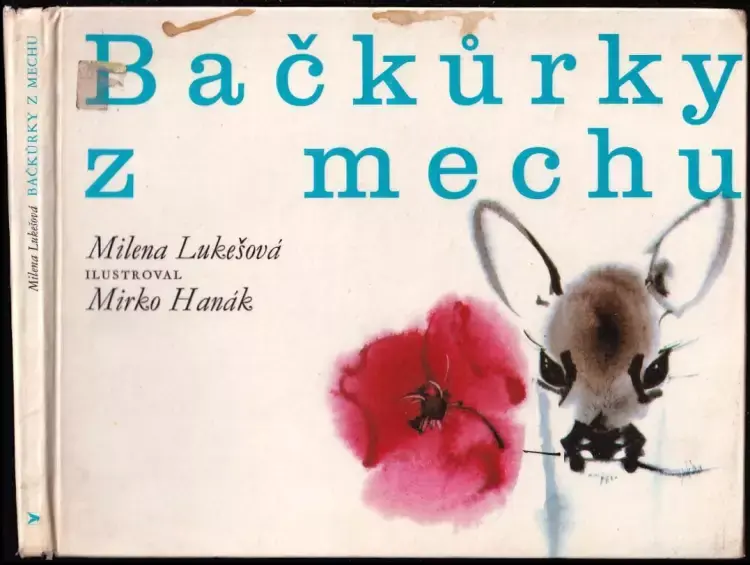 Rychlé Dodání Bačkůrky z mechu