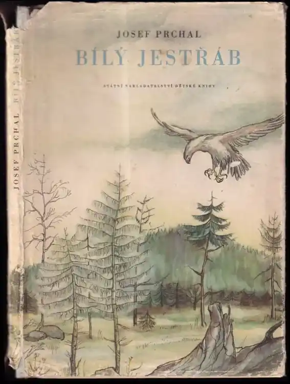 Bílý jestřáb Značkový