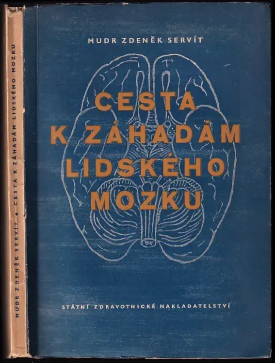 Jen Po Omezenou Doba Cesta k záhadám lidského mozku