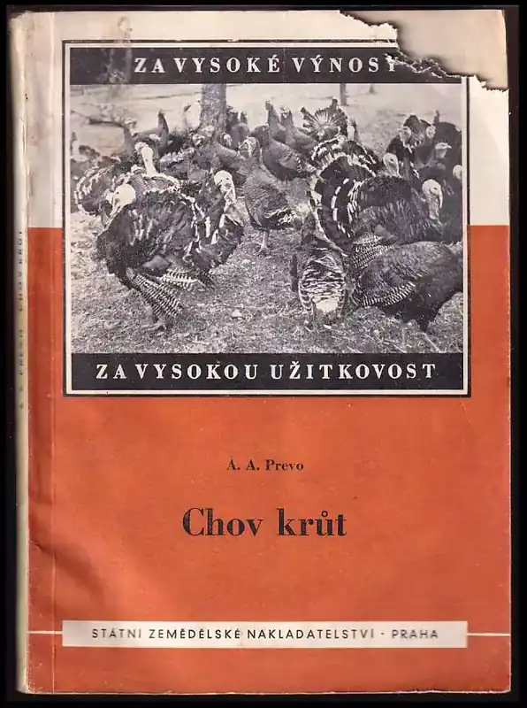 Cenový Hit Chov krůt