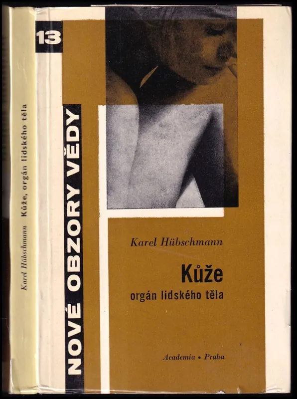 Kůže, orgán lidského těla Přímo Od Výrobce