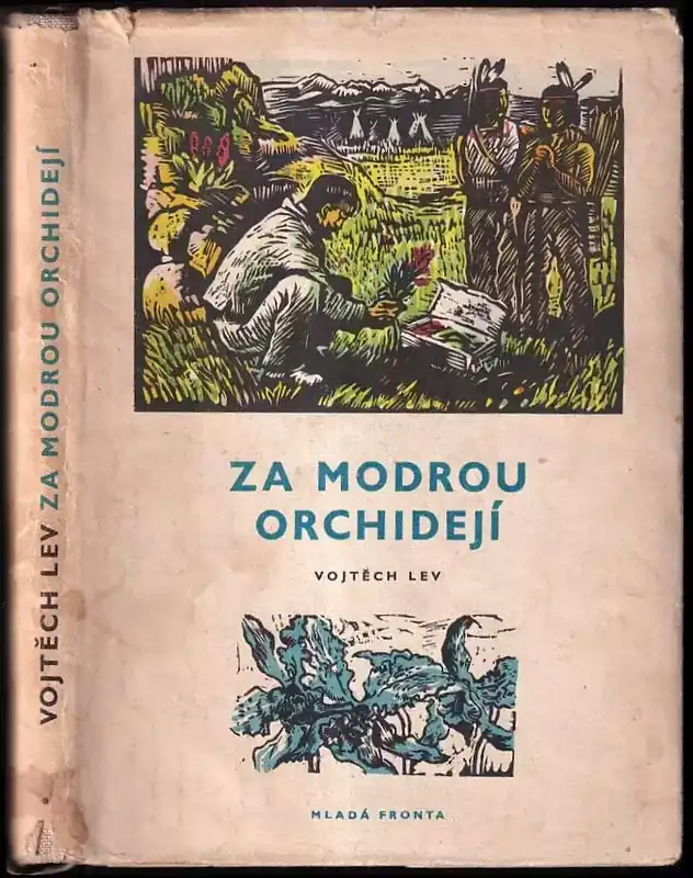 Nejlepší Volba Za modrou orchidejí