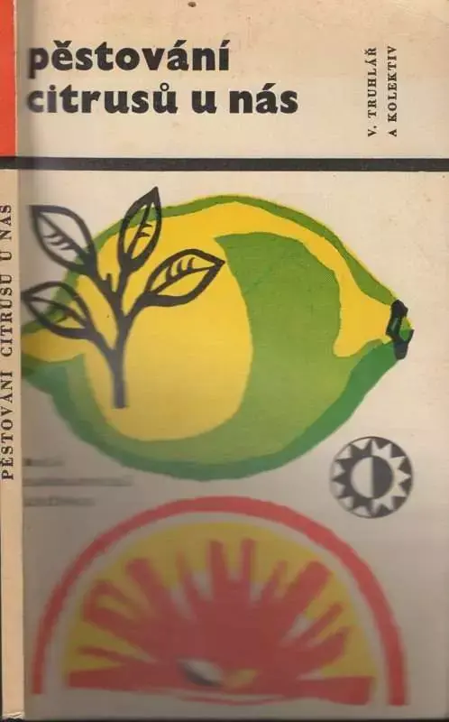 Hit Sezóny Pěstování citrusů u nás