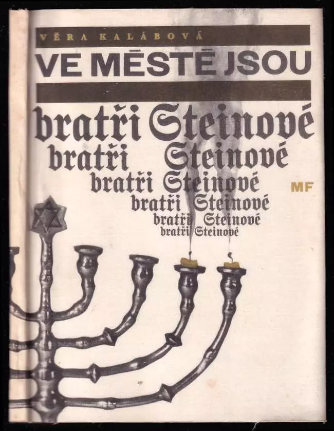 Expresní Doručení Ve městě jsou bratři Steinové
