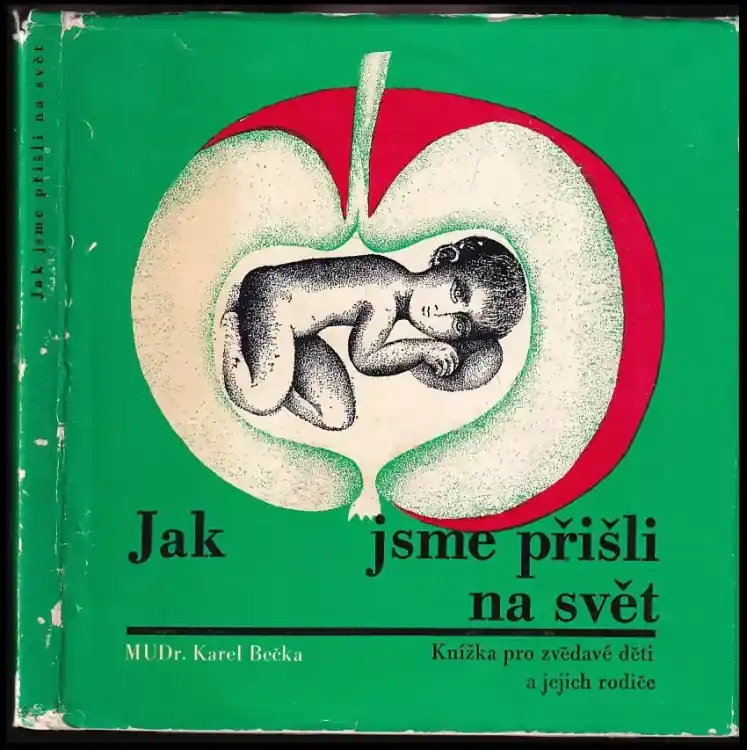 Výprodej Jak jsme přišli na svět ; Co neprozradí zrcadlo : Knížka pro zvědavé děti a jejich rodiče : Co neprozradí zrcadlo : Knižka pro zvědavé děti a jejich rodiče