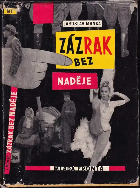 Objednat Nyní Zázrak bez naděje