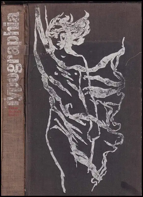 Typographia 1 : písmo, ilustrace, kniha - 1. díl Zlevněný