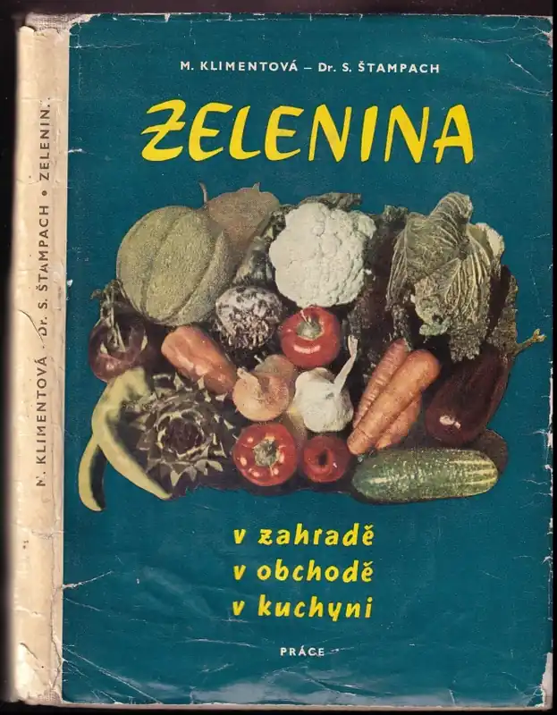 Zelenina v zahradě - v obchodě - v kuchyni Ověřený