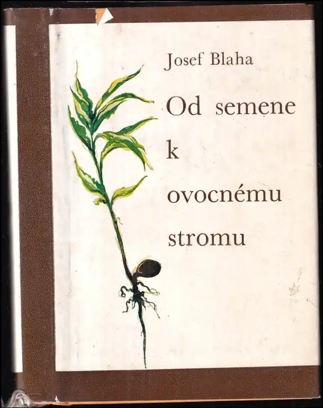 Od semene k ovocnému stromu Zlevněný