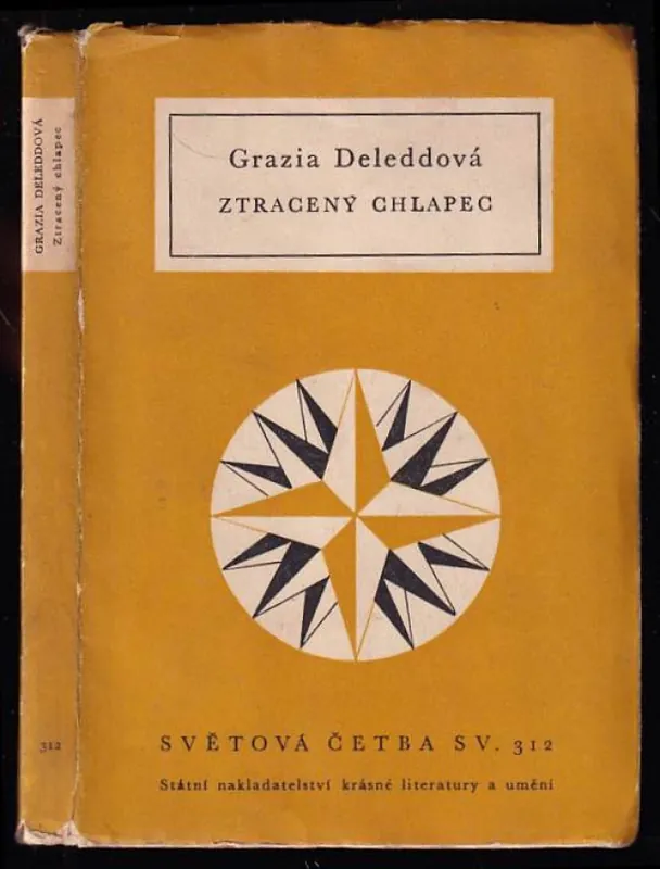 Ztracený chlapec : povídky Expresní Doručení