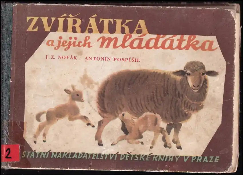 Přímo Od Výrobce Zvířátka a jejich mláďátka