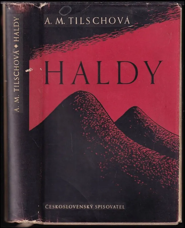 Cenový Hit Haldy : román