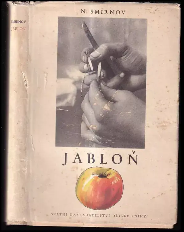 Jabloň Novinka