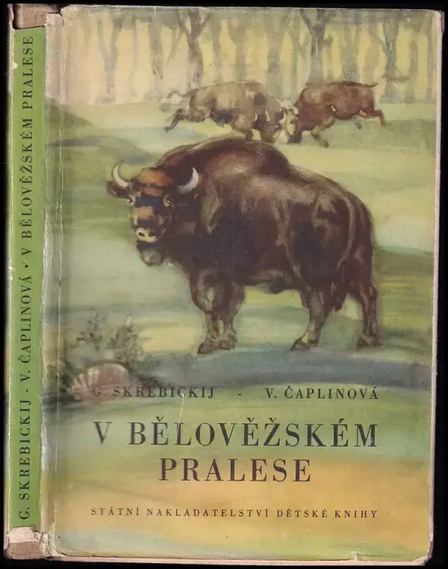 Levný V Bělověžském pralese