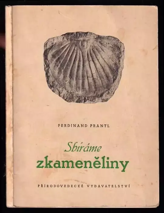 Sbíráme zkaměněliny Časově Omezené