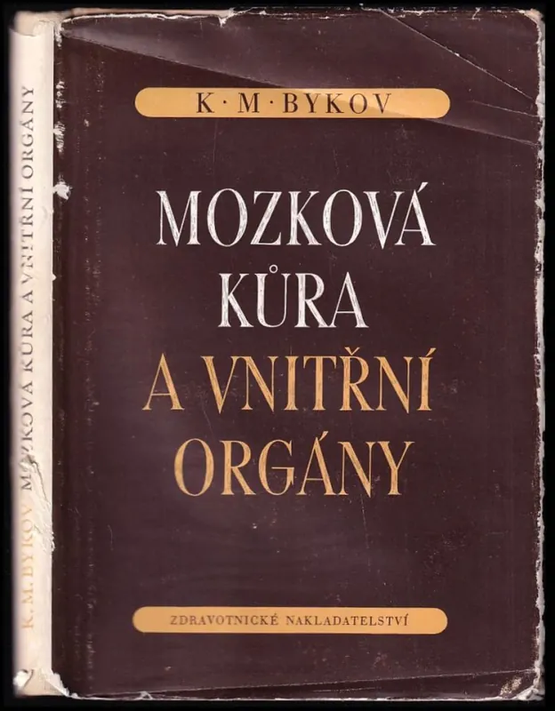 Akční Nabídka Mozková kůra a vnitřní orgány